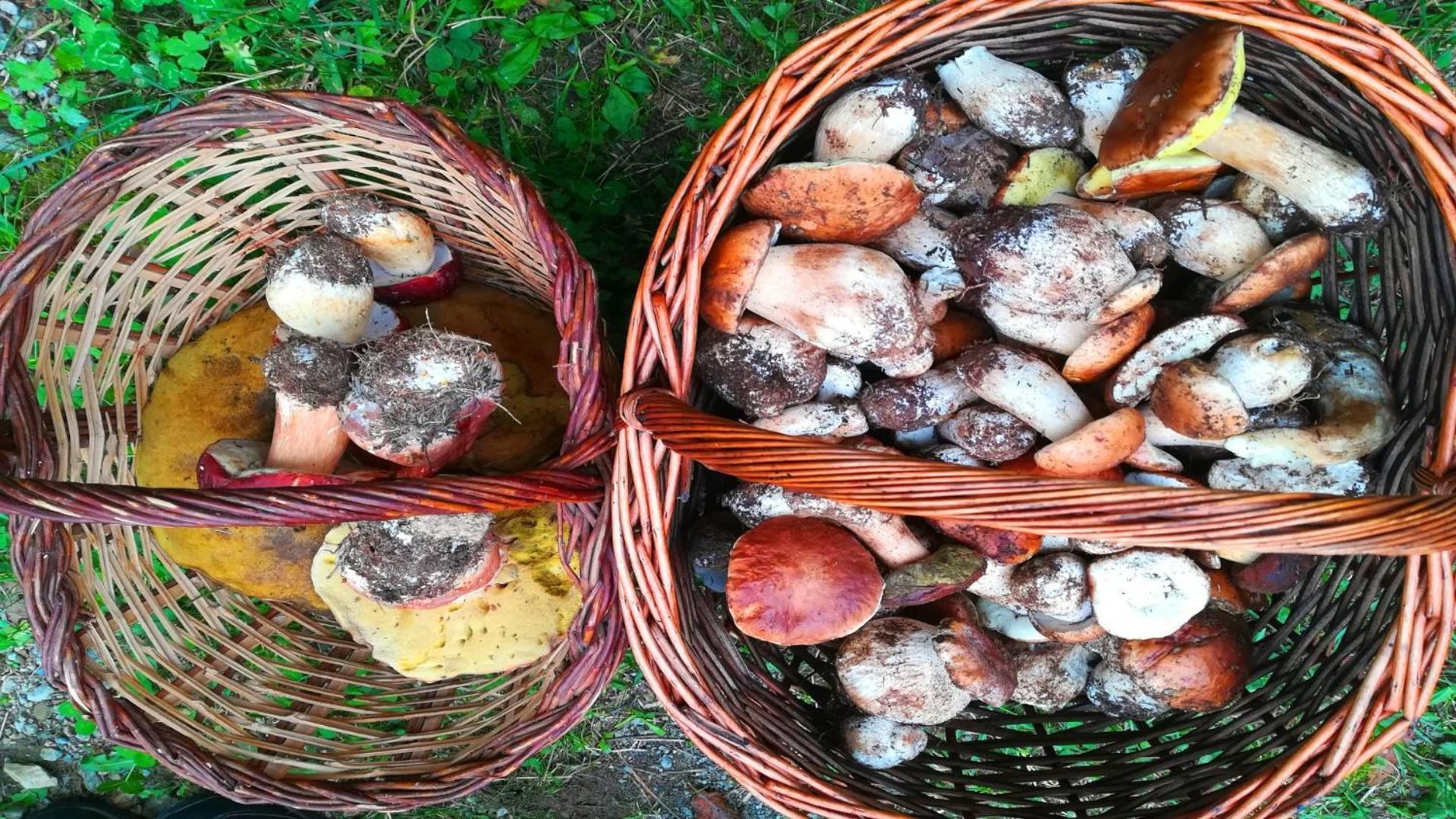 El Descans De L'Oreneta Кампродон Екстериор снимка